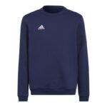 Adidas Entrada 22 Hoody Jr Sweatshirt H57568
