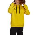 Adidas Entrada 22 Hoody M HI2140 sweatshirt - Image 2