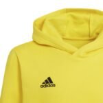 Adidas Entrada 22 Hoody Y Jr sweatshirt HI2142 - Image 3