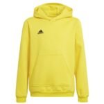 Adidas Entrada 22 Hoody Y Jr sweatshirt HI2142