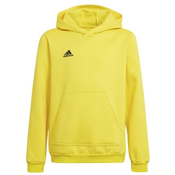 Adidas Entrada 22 Hoody Y Jr sweatshirt HI2142