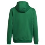 Adidas Entrada 22 Hoody Y Jr sweatshirt HI2143 - Image 2