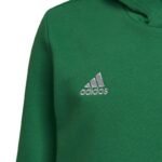 Adidas Entrada 22 Hoody Y Jr sweatshirt HI2143 - Image 3