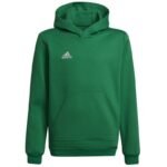 Adidas Entrada 22 Hoody Y Jr sweatshirt HI2143