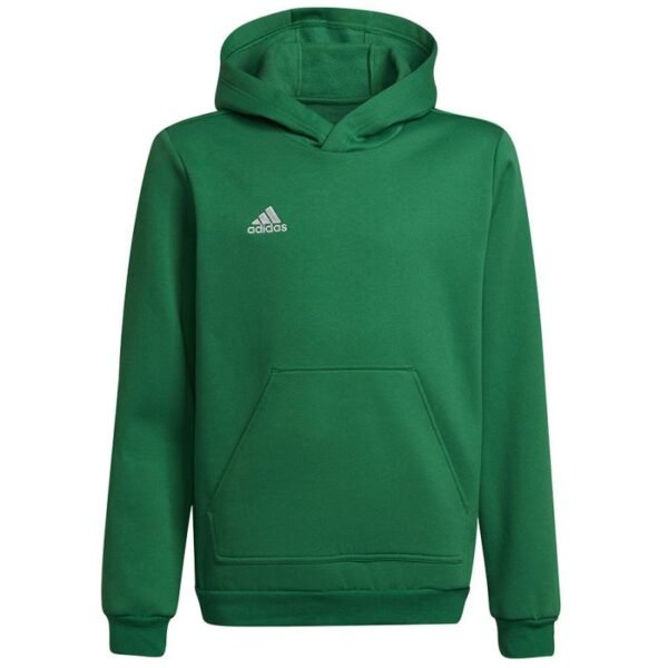 Adidas Entrada 22 Hoody Y Jr sweatshirt HI2143