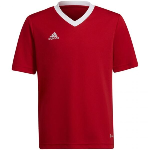 Adidas Entrada 22 Jsy Jr T-shirt H57496