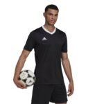Adidas Entrada 22 M HE1573 T-shirt - Image 4