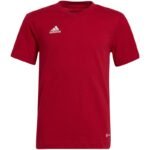 adidas Entrada 22 Tee Jr HC0446