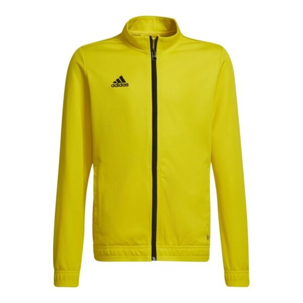 Adidas Entrada 22 Track Jr sweatshirt HI2139