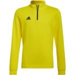 Adidas Entrada 22 Training Top Jr HI2133 sweatshirt