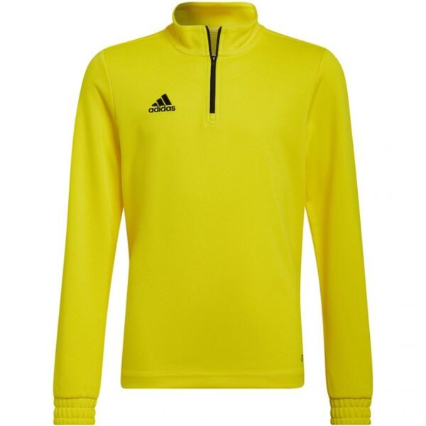 Adidas Entrada 22 Training Top Jr HI2133 sweatshirt