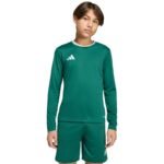adidas Entrada 26 Long Sleeve Jersey for Kids Green KF5873 - Image 4