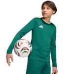adidas Entrada 26 Long Sleeve Jersey for Kids Green KF5873 - Image 6