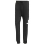 Adidas Essentials Big Logo French Terry M IN6163 pants
