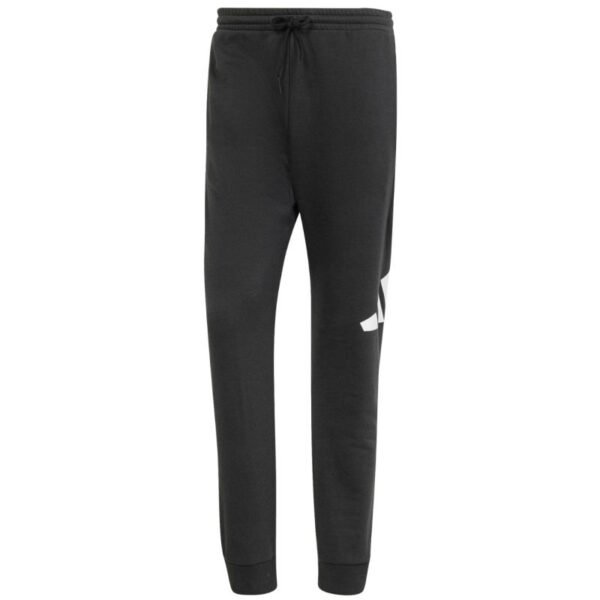 Adidas Essentials Big Logo French Terry M IN6163 pants