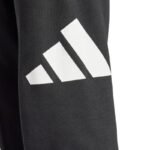 Adidas Essentials Big Logo French Terry M IN6163 pants - Image 4