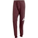 adidas Essentials Big Logo French Terry M JE8972 pants