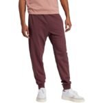 adidas Essentials Big Logo French Terry M JE8972 pants - Image 4