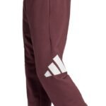 adidas Essentials Big Logo French Terry M JE8972 pants - Image 6