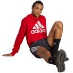 Adidas Essentials French Terry Big Logo Hoodie M IC9365 - Image 3