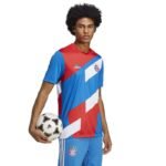 adidas FC Bayern Pre-Match JSY M HU1261 T-shirt - Image 3