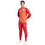 adidas FC Bayern Training Panty M IQ0605 - Image 5