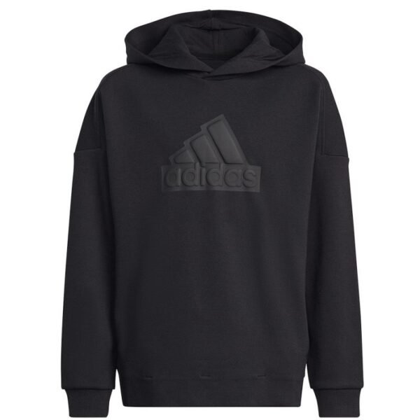 adidas FI Logo HD Jr HR6301 sweatshirt