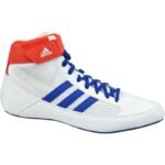 Adidas Havoc M BD7129 shoes