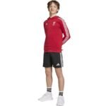 adidas Liverpool FC Hoody Kids HD sweatshirt JW7904 - Image 4