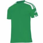 adidas Squadra 21 JSY M GN5721 T-shirt
