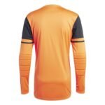 adidas Squadra 25 M JG1130 goalkeeper jersey - Image 2