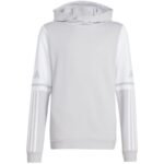 Adidas Squadra 25 Sweat Hoody Jr JD4808