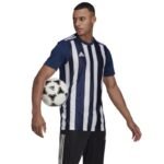 Adidas Striped 21 JSY M T-shirt GN5847 - Image 3