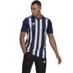 Adidas Striped 21 JSY M T-shirt GN5847