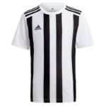 Adidas Striped 21 JSY M T-shirt GV1377 - Image 6