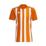 Adidas Striped 21 M T-shirt H35642