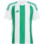 adidas Striped 24 Jr T-shirt IW2138