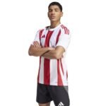 Adidas Striped 24 JSY M T-shirt IW2142 - Image 3