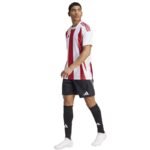 Adidas Striped 24 JSY M T-shirt IW2142 - Image 6