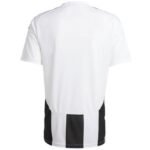 Adidas Striped 24 JSY M T-shirt IW2143 - Image 2