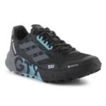 Adidas Terrex Agravic Flow 2 GTX M H03382 shoes