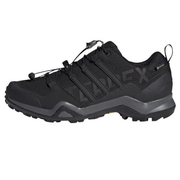 Adidas Terrex SWIFT R2 GTX M IF7631 shoes