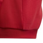 adidas Tiro 23 Competition Hoodie for kids red HI3052 - Image 3
