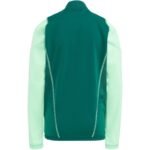 Adidas Tiro 23 Competition Training Jr sweatshirt HU1314 - Image 6