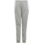 adidas Tiro 24 Sweat Jr IS1009 Pants