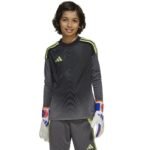 adidas TIRO 25 Competition GK JSY JN2019 sweatshirt