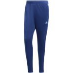 adidas Tiro M HS7489 pants