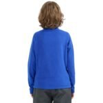 Boys fleece sweatshirt 4F M058 cobalt 4FJWAW25UFLEM058 36S - Image 3