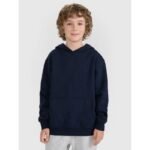 Boys sweatshirt with hood, open, 4F 4FJRMM00TSWSM2482-31S