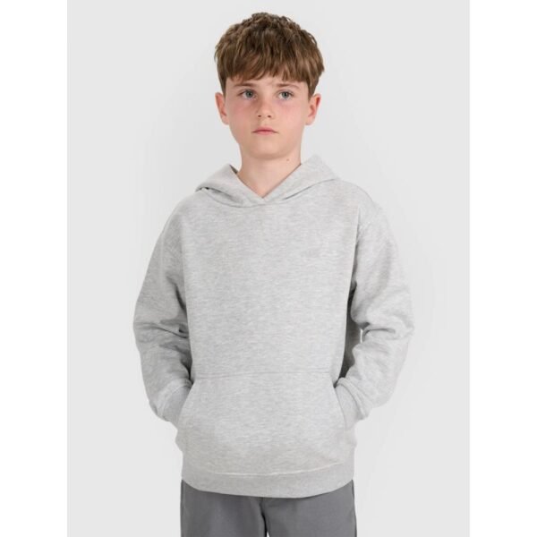 Boys sweatshirt with hood, open, 4F 4FJWMM00TSWSM1860-25M